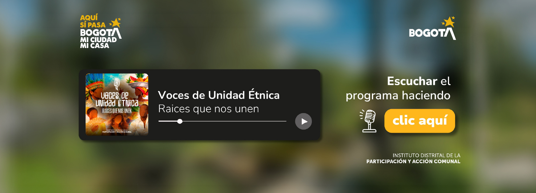 Nace Voces de Unidad Étnica