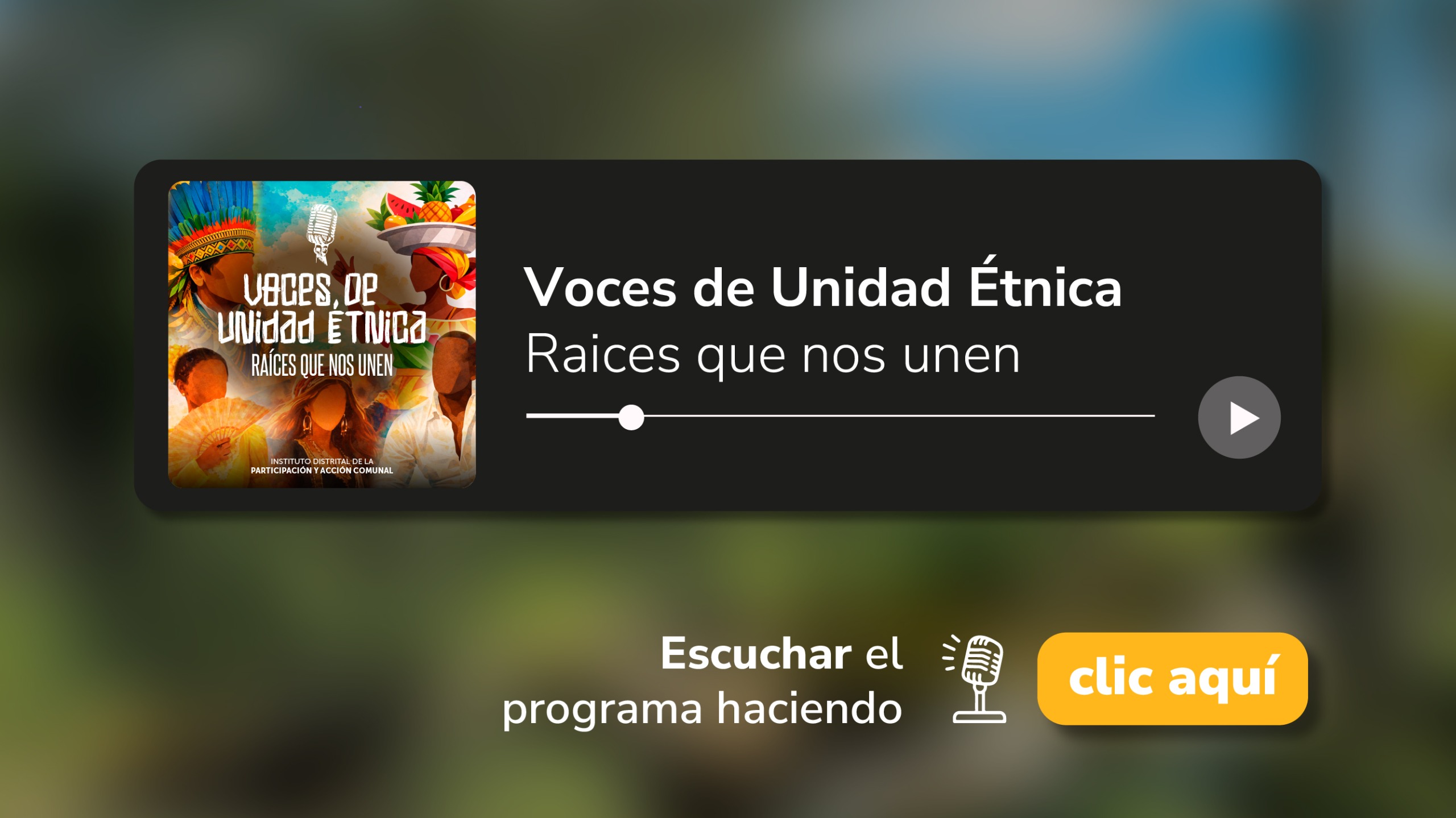 Programa Voces de Unidad Étnica sobre participación en Bogotá