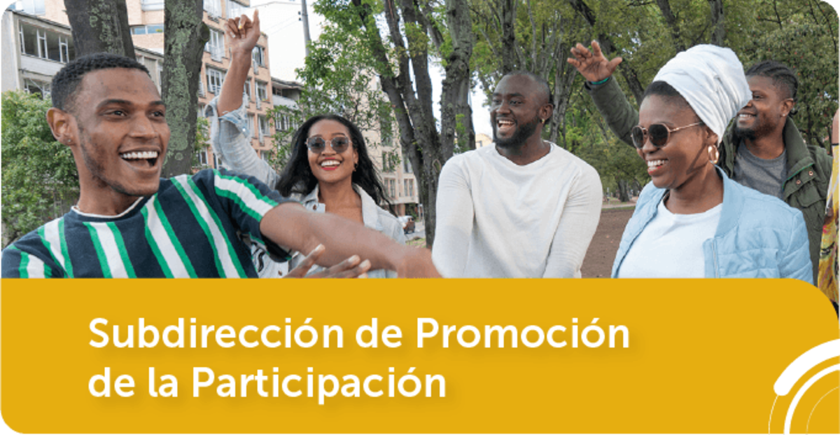 Subdirección de Promoción de la Participación
