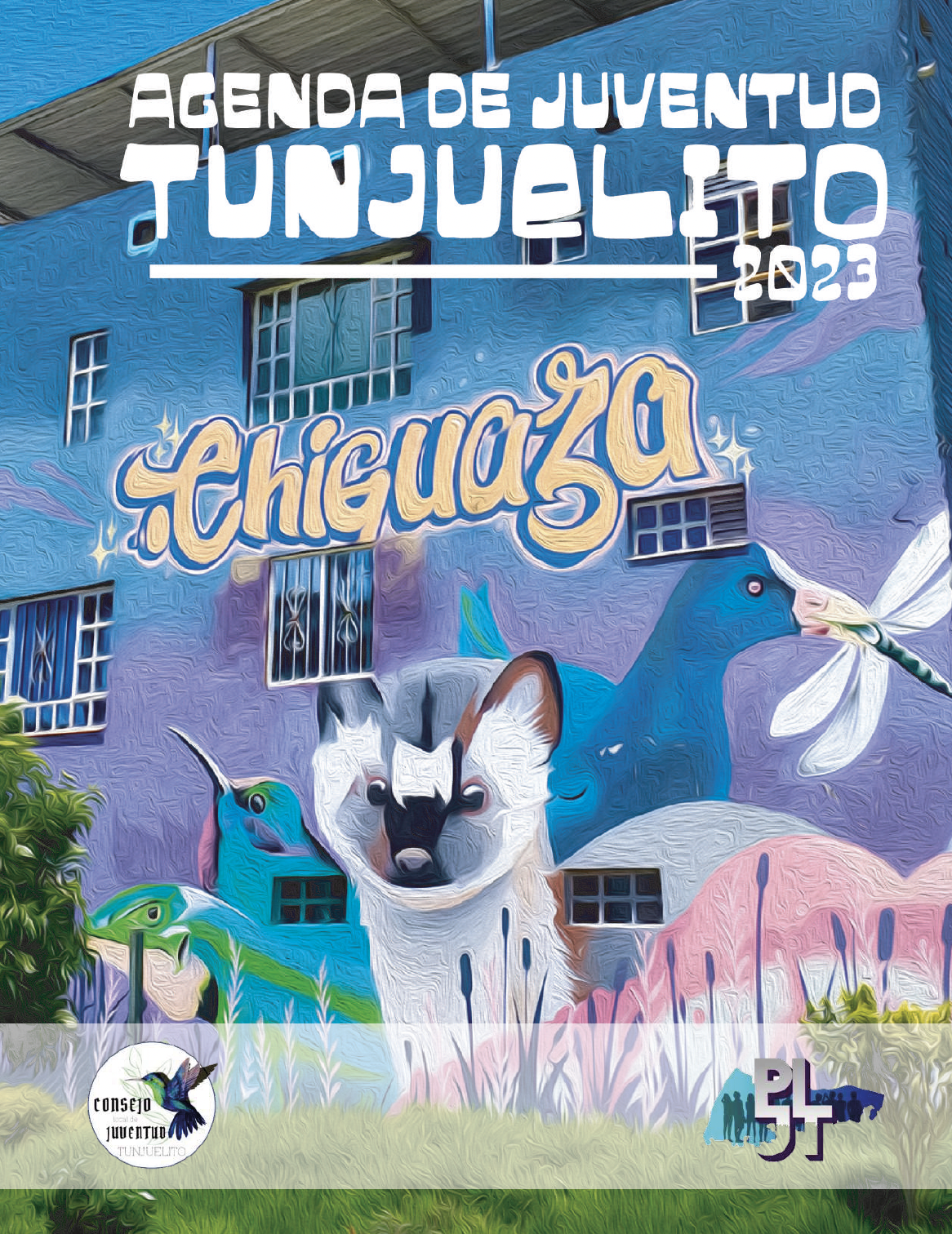 Portada Agenda Local de Juventud de Tunjuelito