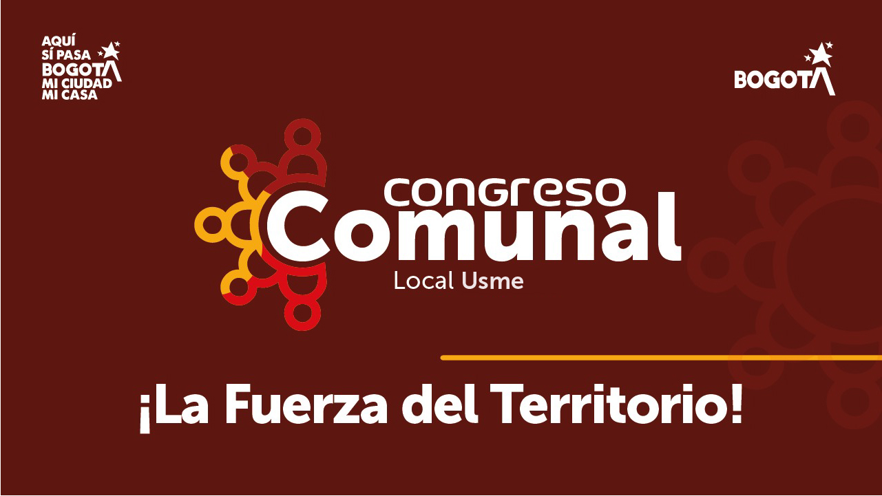 Ciudadanos y líderes comunales participan en el Congreso Comunal Local de Usme, evento del IDPAC que fortalece la participación ciudadana en Bogotá.