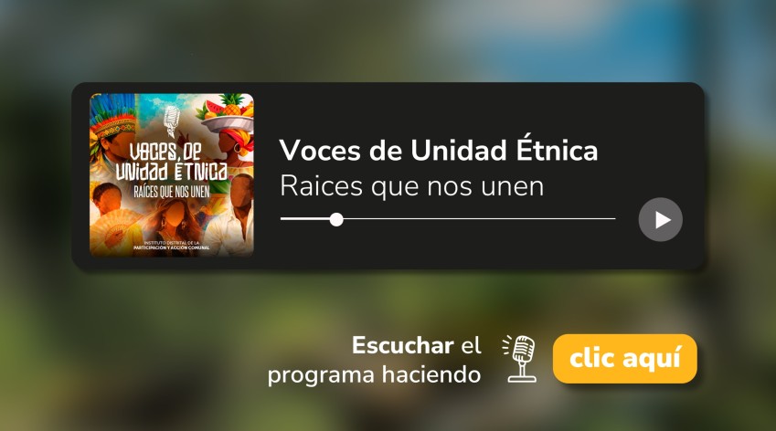 Programa Voces de Unidad Étnica sobre participación en Bogotá